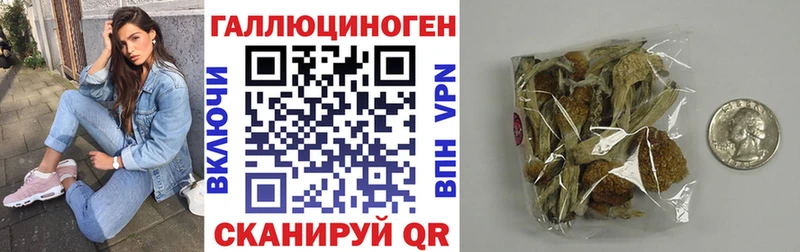 Псилоцибиновые грибы прущие грибы  ссылка на мегу ссылка  Микунь  дарнет шоп 